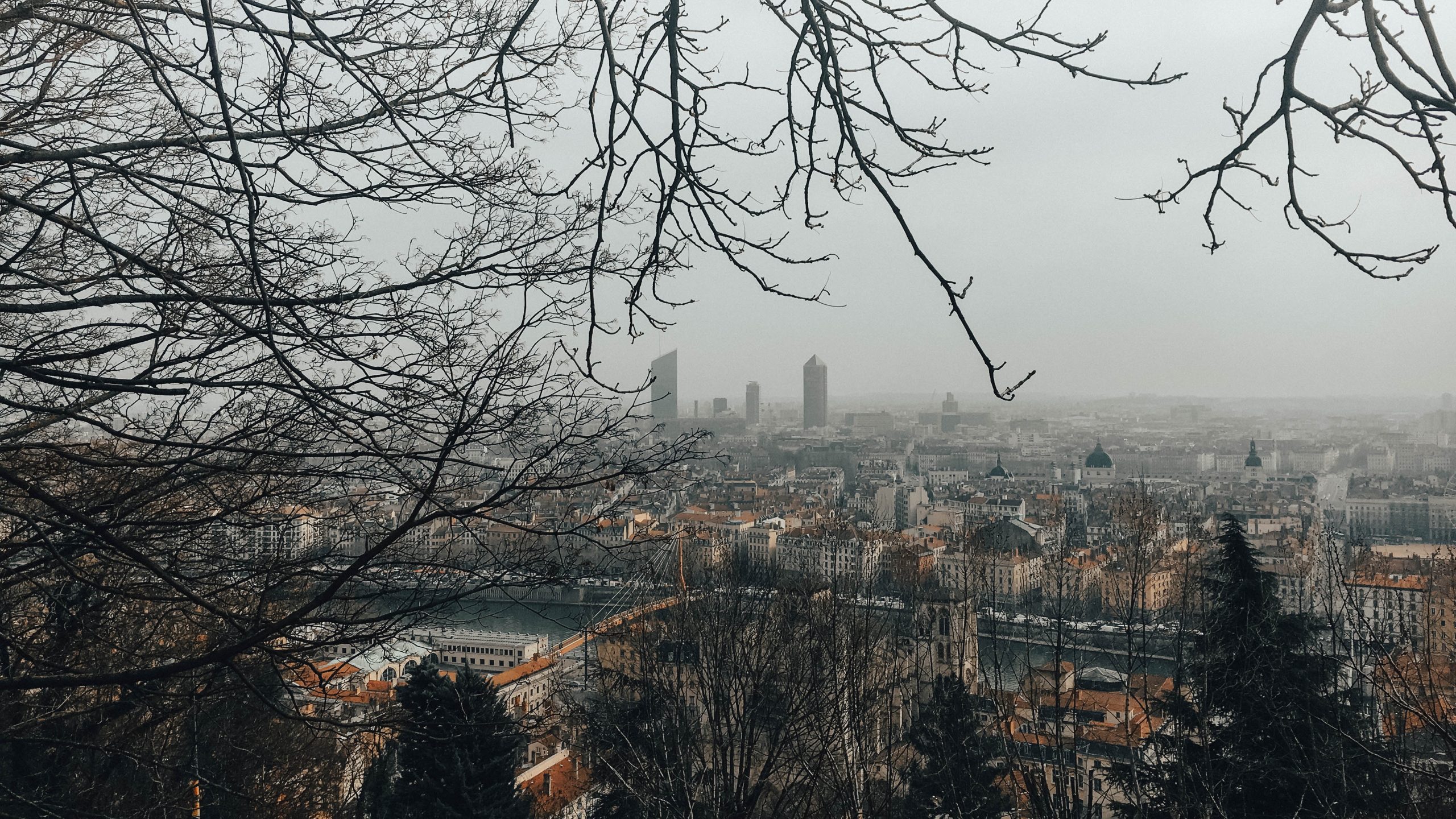 Alliés Lyon : Une alliance solide pour une ville dynamique et prospère